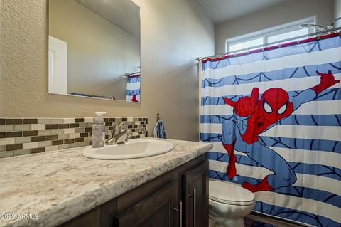 357 W Canyon St, Apache Junction, AZ 85120 photo 28
