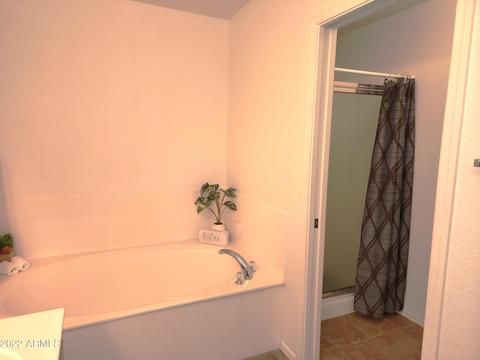 11035 E Naranja Ave, Mesa, AZ 85209 photo 21