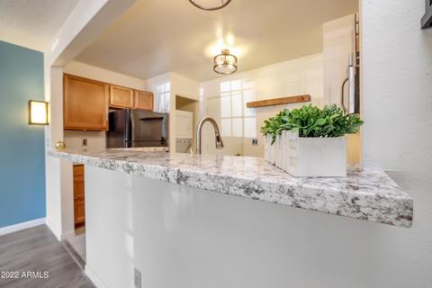 30 E Brown Rd #1064, Mesa, AZ 85201 photo 8
