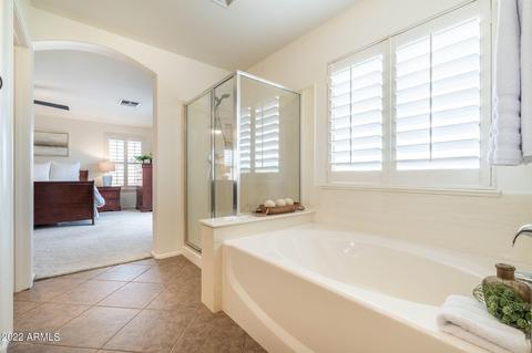 4235 E Cloudburst Ct, Gilbert, AZ 85297 photo 40