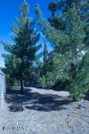 511 Mance St, Bisbee, AZ 85603 photo 21