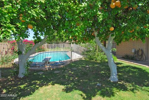 2032 E Laguna Dr, Tempe, AZ 85282 photo 39