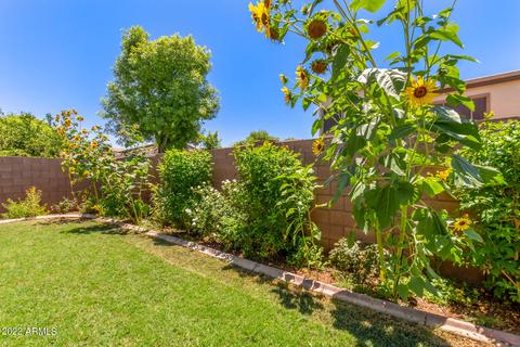 475 E Mary Ln, Gilbert, AZ 85295 photo 57
