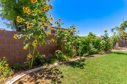 475 E Mary Ln, Gilbert, AZ 85295 photo 55