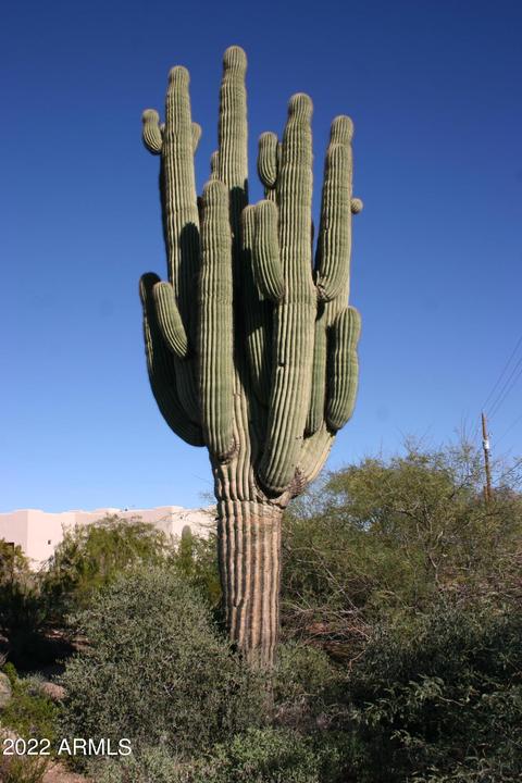 2382 W Mckellips Blvd, Apache Junction, AZ 85120 photo 8