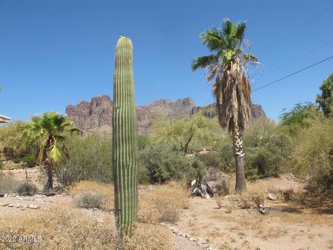 5368 E Mining Camp St, Apache Junction, AZ 85119 photo 5
