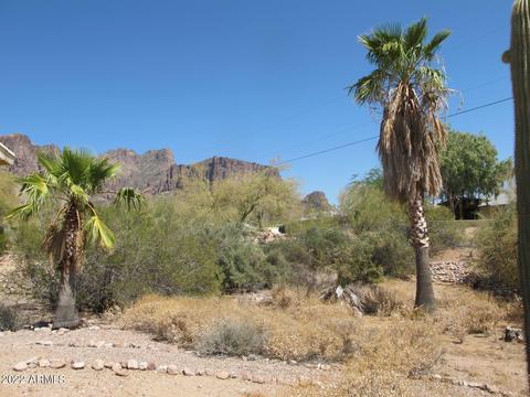 5368 E Mining Camp St, Apache Junction, AZ 85119 photo 6