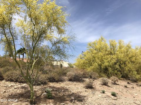 15522 E Chicory Dr #37, Fountain Hills, AZ 85268