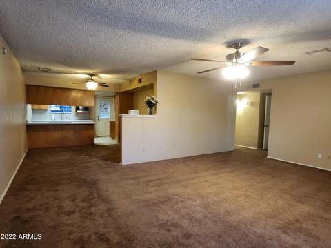 920 N Date St, Mesa, AZ 85201 photo 6