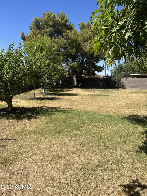 2410 E Baltimore St, Mesa, AZ 85213 photo 13