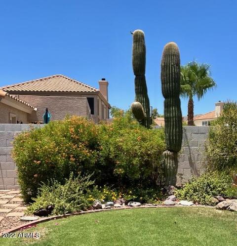 1230 E Windsong Dr, Phoenix, AZ 85048 photo 62