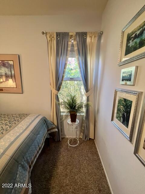 1230 E Windsong Dr, Phoenix, AZ 85048 photo 39
