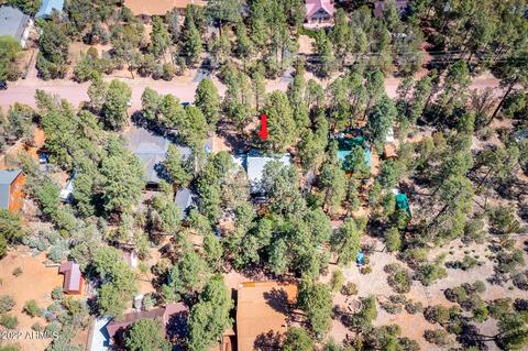 2139 N Woods Dr, Overgaard, AZ 85933 photo 32