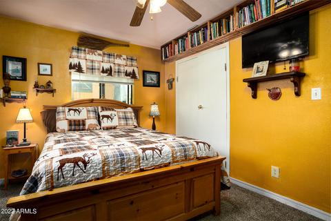 2139 N Woods Dr, Overgaard, AZ 85933 photo 21