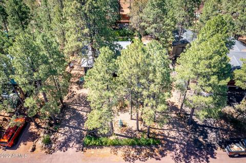 2139 N Woods Dr, Overgaard, AZ 85933 photo 28