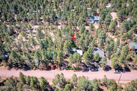 2139 N Woods Dr, Overgaard, AZ 85933 photo 33