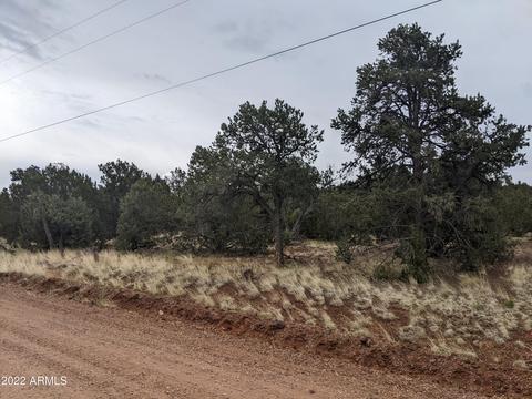 lot91 Ranch Rd #91, Vernon, AZ 85940