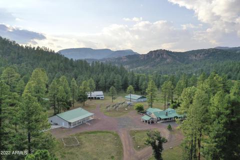 14609 Blue River Rd, Blue, AZ 85922