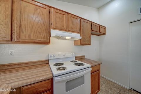 863 E Inca St, Mesa, AZ 85203 photo 10