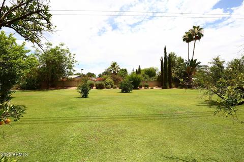 1015 S Maple --, Mesa, AZ 85206 photo 50