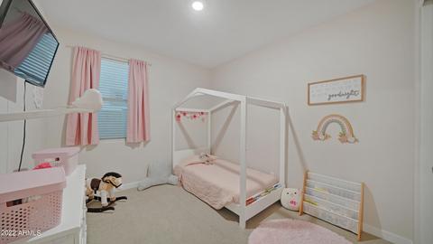 10064 E Gamma Ave, Mesa, AZ 85212 photo 15