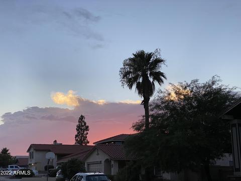1821 E Redfield Rd, Phoenix, AZ 85022 photo 39