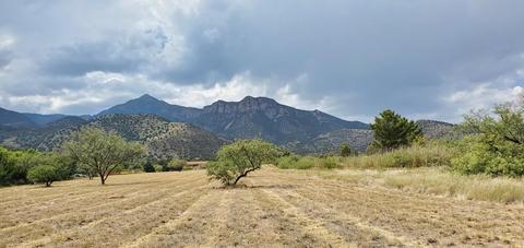 tbd S Hope Pl #--, Hereford, AZ 85615