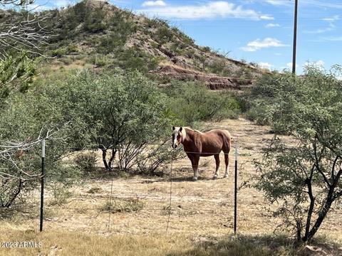 318 E Pederson Dr, Saint David, AZ 85630 photo 3