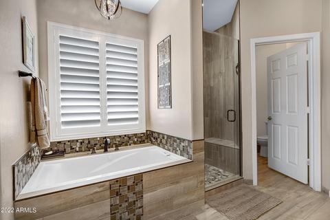 10426 E Dolphin Ave, Mesa, AZ 85208 photo 29