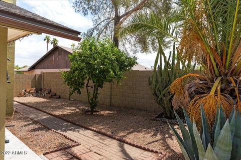 4209 E Redfield Rd, Phoenix, AZ 85032 photo 23
