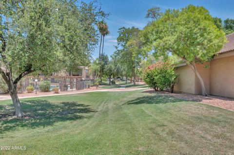 3825 E Camelback Rd #262, Phoenix, AZ 85018 photo 3