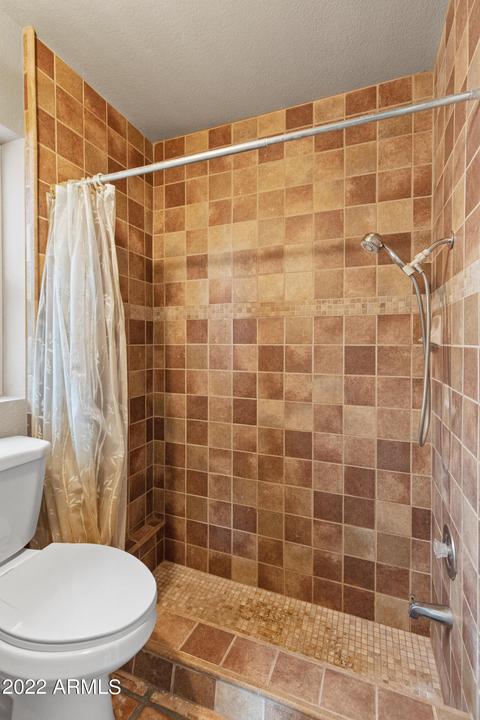 2917 E Concho Ave, Mesa, AZ 85204 photo 34