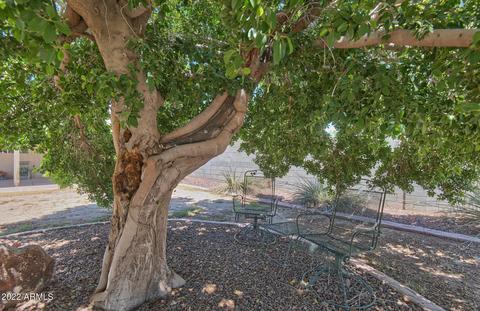 2205 E Paradise Ln, Phoenix, AZ 85022 photo 19