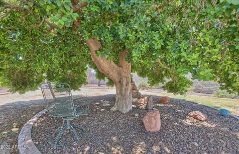 2205 E Paradise Ln, Phoenix, AZ 85022 photo 20