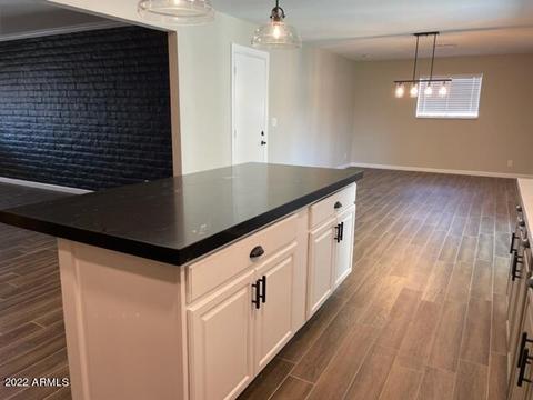 1923 E Downing St, Mesa, AZ 85203 photo 19