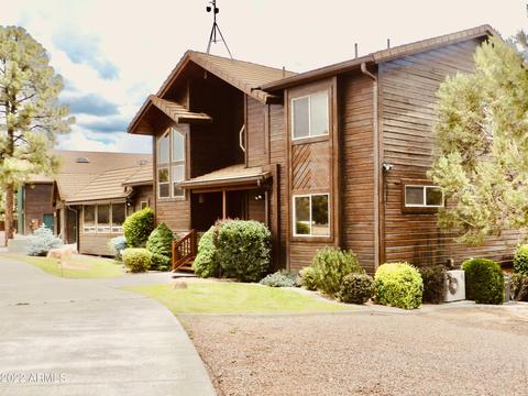 2344 Immelman Cir, Overgaard, AZ 85933 photo 3