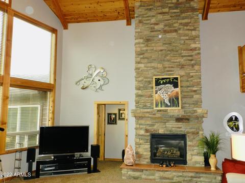 2344 Immelman Cir, Overgaard, AZ 85933 photo 13