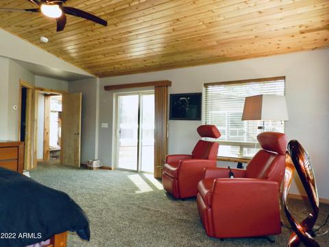 2344 Immelman Cir, Overgaard, AZ 85933 photo 31