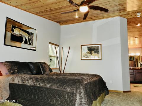 2344 Immelman Cir, Overgaard, AZ 85933 photo 40