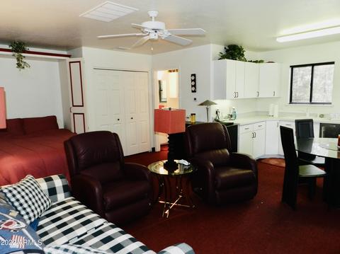 2344 Immelman Cir, Overgaard, AZ 85933 photo 47
