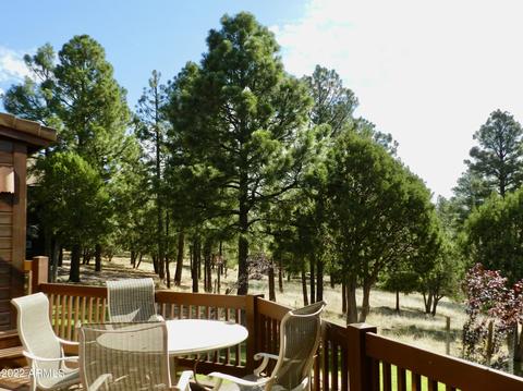 2344 Immelman Cir, Overgaard, AZ 85933 photo 32