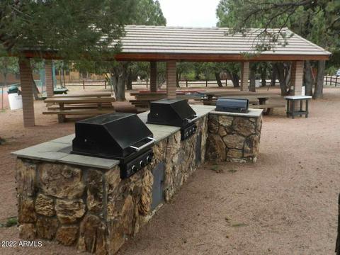 2344 Immelman Cir, Overgaard, AZ 85933 photo 53