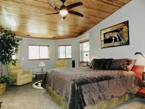 2344 Immelman Cir, Overgaard, AZ 85933 photo 39