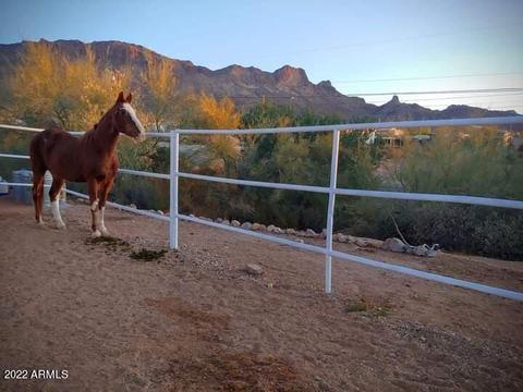 5058 N Delaware Dr, Apache Junction, AZ 85120 photo 34