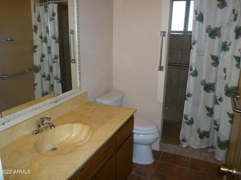4459 Escondido Ave, Mesa, AZ 85206 photo 26