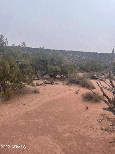 4068 Stirrup Rd #-, Snowflake, AZ 85937 photo 6