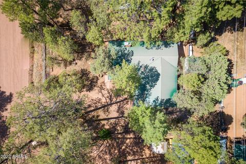 2953 Hunters Rd, Overgaard, AZ 85933 photo 14