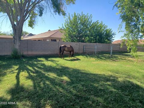 367 El Dorado Ln, Gilbert, AZ 85295 photo 50