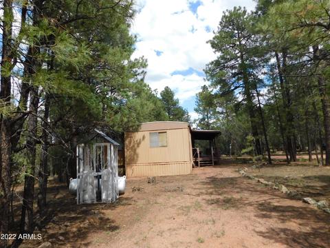 2881 Wahoo Rd, Overgaard, AZ 85933 photo 2
