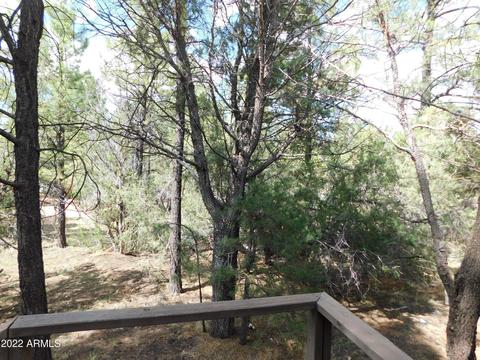 2881 Wahoo Rd, Overgaard, AZ 85933 photo 18
